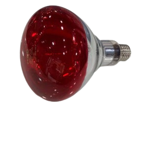 AMPOULE INFRAROUGE 150W